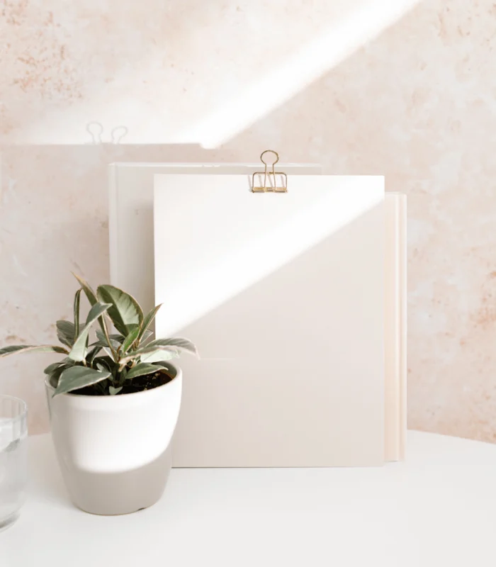 haute-stock-photography-blog3-qjjsqvus0mq8r8tr6ckew3u5jhrpc9vio0qyrc5cg0